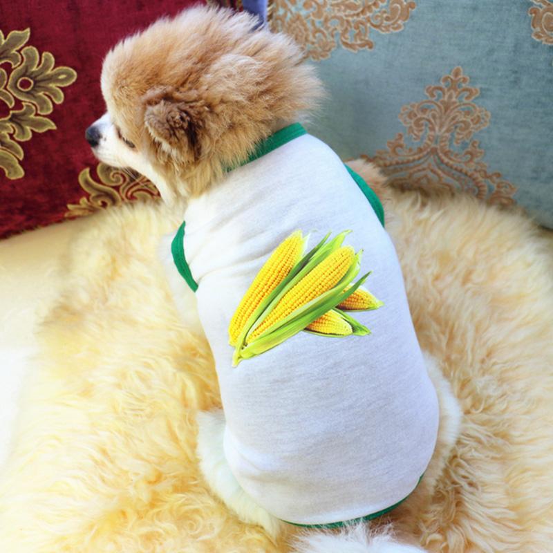 Hundekleidung für Hunde, Haustierkostüm, Kleidung für kleine Hunde, Katzenweste, T-Shirts, Chihuahua, coole Welpenkleidung für Kätzchen, Halloween