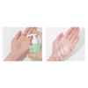 Sikmulnara Vegan Mugwort Mild pH-Balanced Feminine Wash 300ml