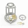 Male Stainless Steel Chastity Device Penis Ring Cock Cage With Padlock Adult BDSM Sissy Slave Bondage Game Alternative Sex Toys