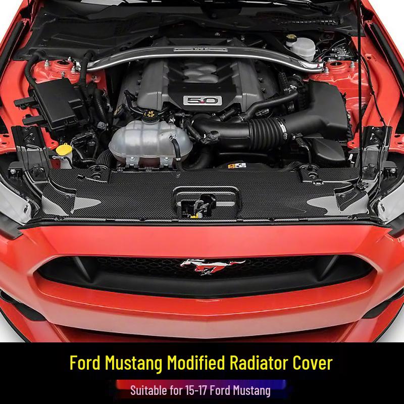 Carbon Fiber Radiator Cover & Hood Latch Guard for 15-17 Ford Mustang