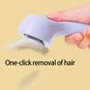 Portable Rechargeable Pet Hair Brush Gentle Soothing Steams Technology for Various Coat Type