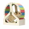 Kunststoff Hamster Laufrad Leise Stabile Basis Haustier Hamster Halterung Bunt 21cm Nagetier Laufrad für Kleintiere