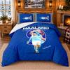 Erling Haaland Pattern Bedding 3Pcs Set Bed Sheet And Pillowcases For Indoor Bedroom