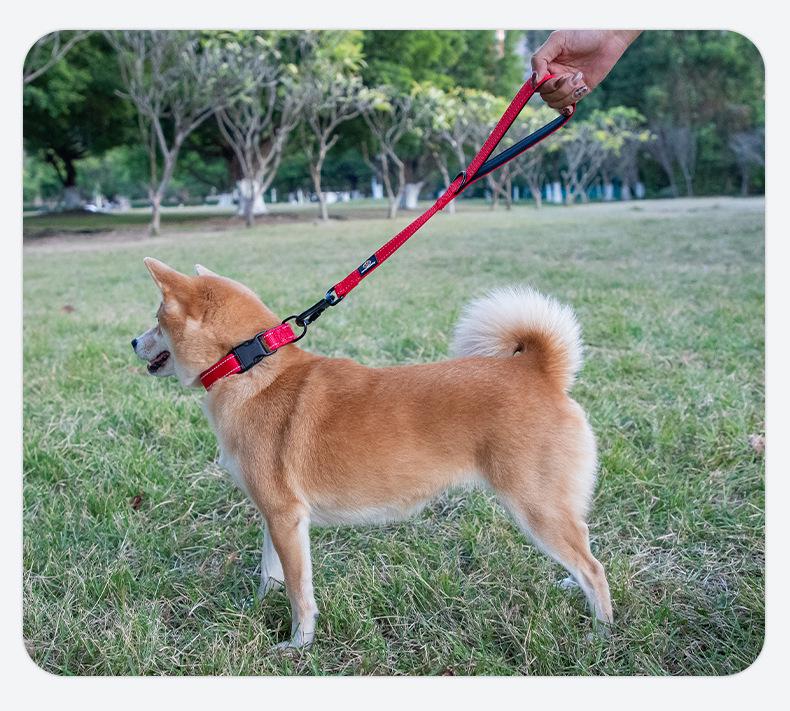 Nylon Short Traction Dog Leash for Medium & Large Dogs