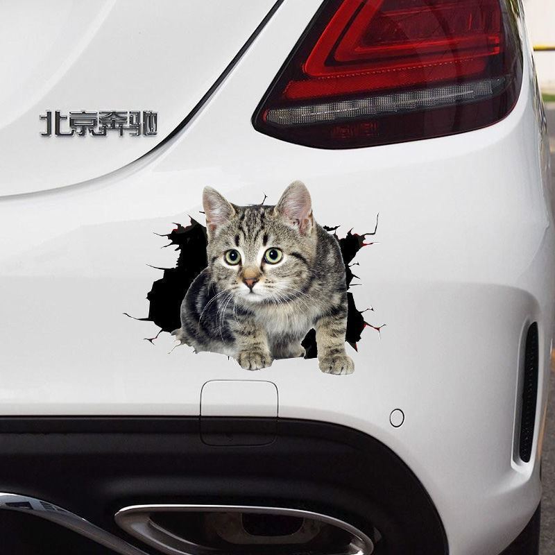 Creative and Personalized 3D Three-dimensional Kitten Car Sticker, Cute and Funny Cat Covering The Body, Rear Scratches and Scratches
