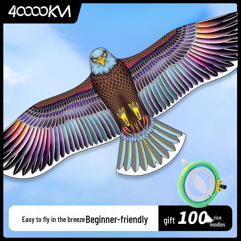 

Easy Fly Kite Set for Adults and Kids