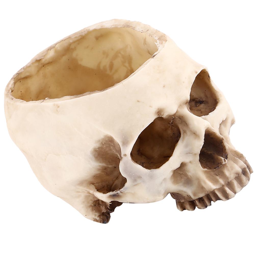 1pc Resin Skull Head Design Flower Pot Planter Container Decoration