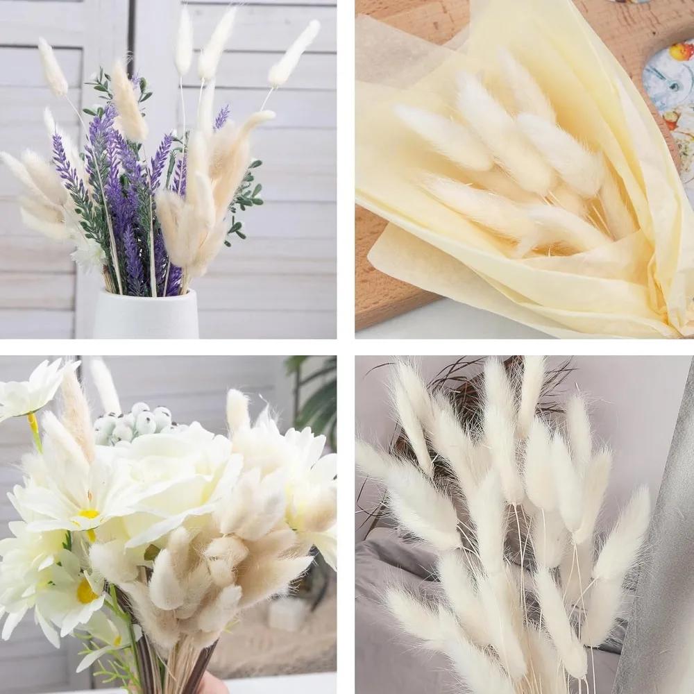60Pcs Dried Lagurus Bunny Tails Pampas Grass Decor Home Cake Decor Rabbit Tails Dried Flowers Bouquet for Boho Table Decoration