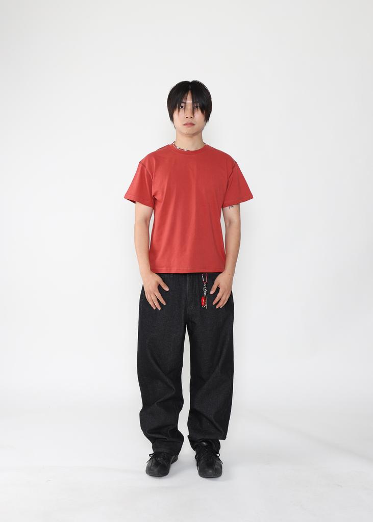 DOTON Dtn Crop T-Shirts(Brick Red)