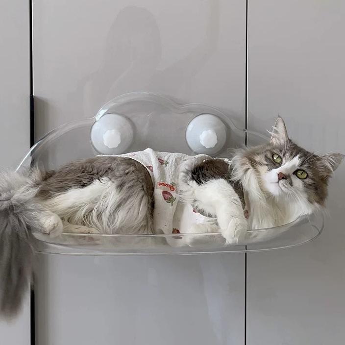 Katzen Hängematte Fenster Katzen Kletterregal Saugnapf Katzen Nest Transparent Hängend Kunststoff Villa Sonnenbaden Alle Jahreszeiten Y652YY-