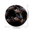 Cat Portrait Customizable photos Size 5 Soccer football Machine Sewn Indoor/Outdoor Training and Matches Customize Exclusive Personalized Name