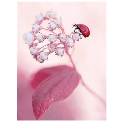 Punto Croce Trapano Completo Decorazione Casa Diamante Coccinella Fiore Immagine Ricamo Pittura