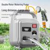 Oulaide 60V Cordless Rechargeable Multi-Purpose Water Pump CN Plug (adapter Included)