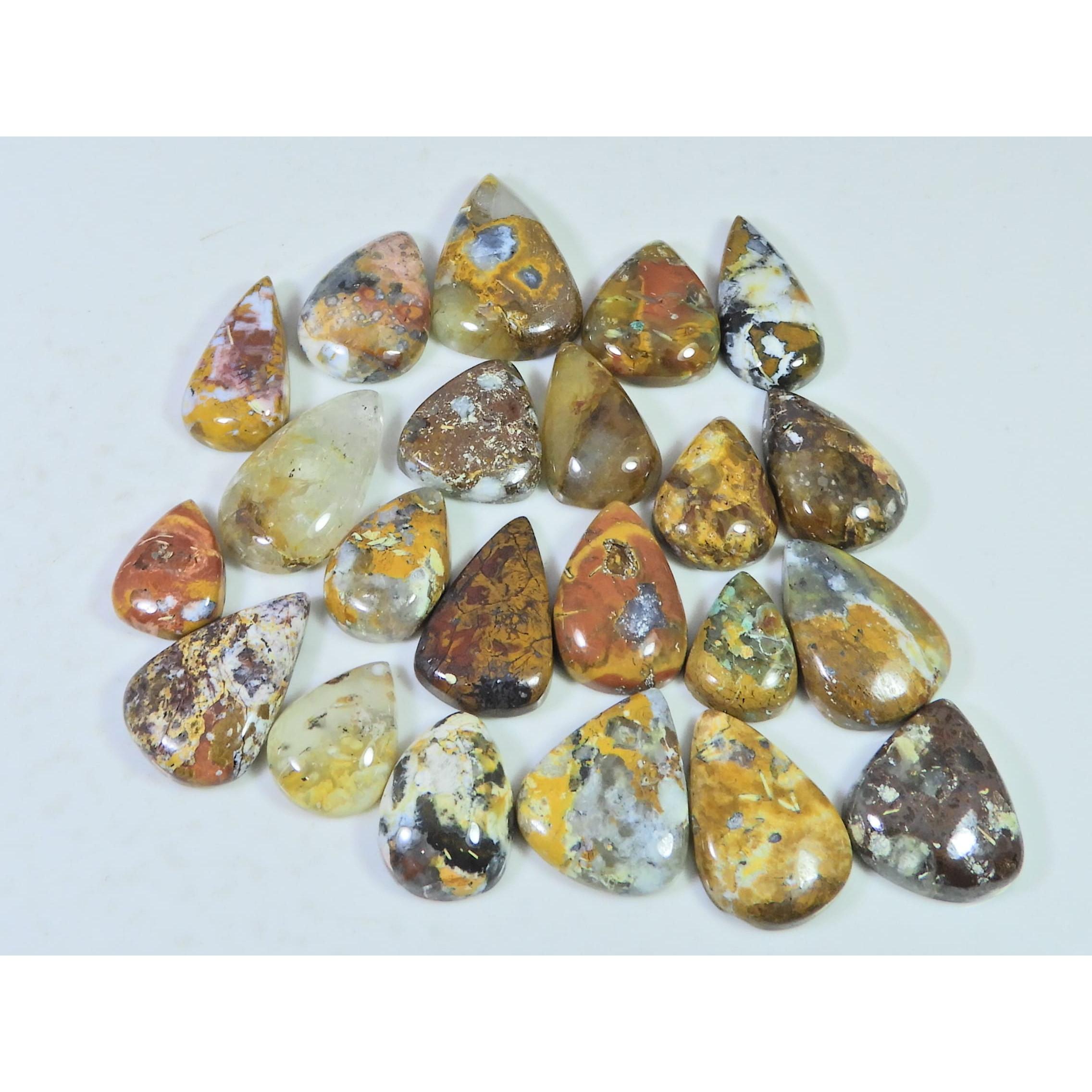 236Cts. Natural Forest Agate Pear Cabochon Loose Gemstone 22 Pcs Lot C-1943