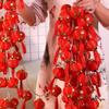 New Year Tassel Red Lantern String Lights