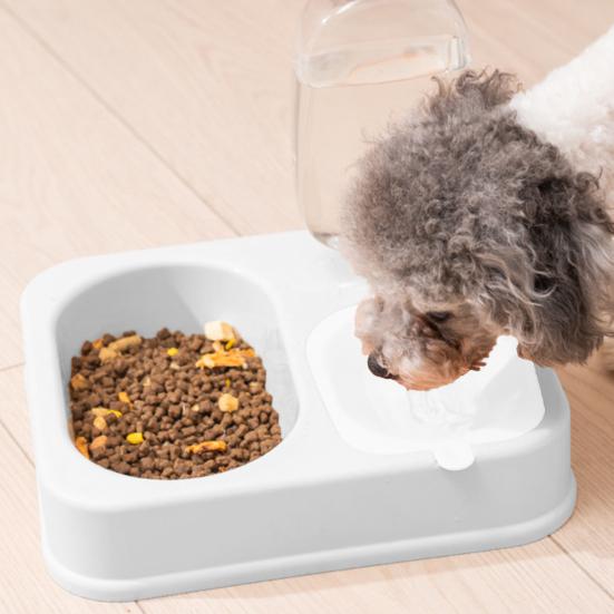 Pet Food And Water Feeder 2 In 1 Pet Feeder Bowl Automatic Water Dispenser with 500ml Bottle Detachable Pet Feeder for Cats Dogs