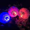 Luminous Shuttlecock Night Glow Windproof Goose Feather Colourful Led Glowing Badminton Ball for Outdoor Activities