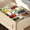 Transparent Ice Chilled Tray Platter 5 Grids Snacks Container Condiment Container  for Home
