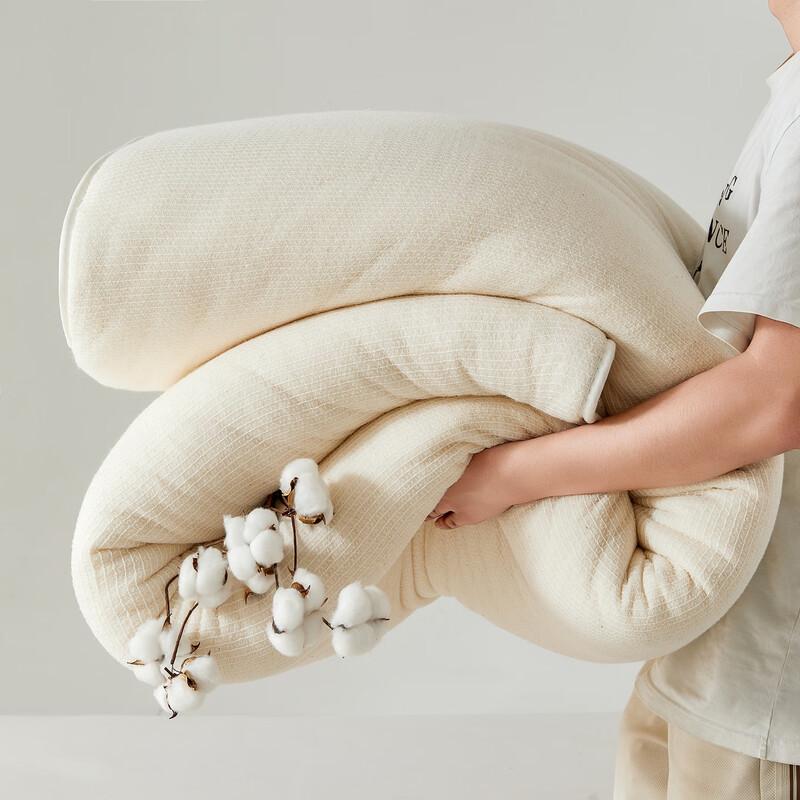LISM 2025 Xinjiang Long-Staple Cotton Winter Duvet Insert