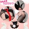 Bunny Girl Erotic Cosplay 7 Piece Set Reverse Bunny Suit Open Chest Sexy Sheer [MONEON]