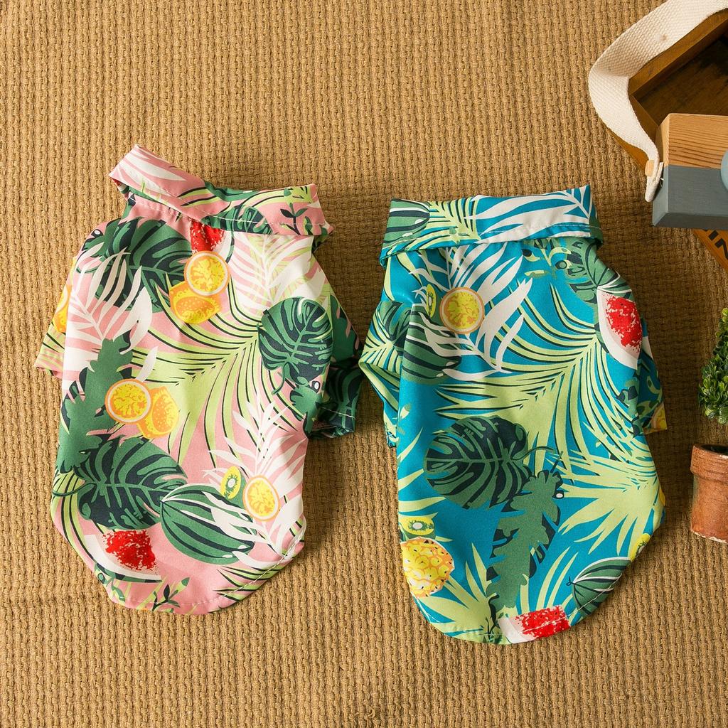 Pet Spring-Summer Shirt: 2-Leg Outfit For Dog (Teddy/Bichon) &