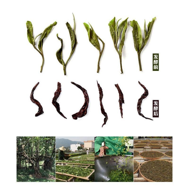 Yunnan Tea Puerh Tea 2008 Puerh Tea Cake 357g Moget Puerh Tea