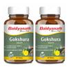 Ayurved Gokshura Tablets 60 Tablets X Pack of 2 Herbal Wellness Support Strength Vitality Natural Supplement