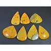 315Cts. Natural Bumble Bee Jasper Pear Cabochon Loose Gemstone 07 Pcs Lot C-2233