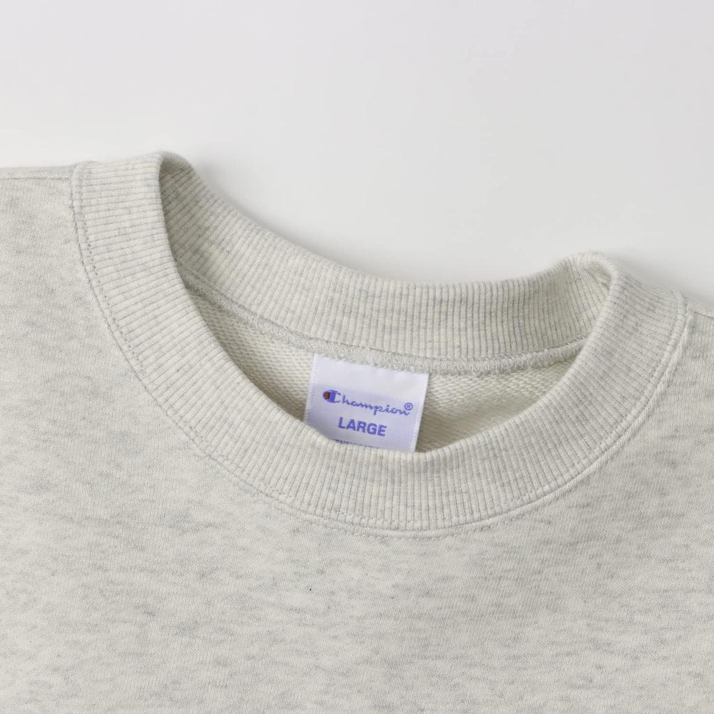 Champion Basic Crew Neck Long Fleece with Embroidered Size Oatmeal X Brown Men's Sweatshirt, Sleeve, Logo, XL, (C3-W001Z)