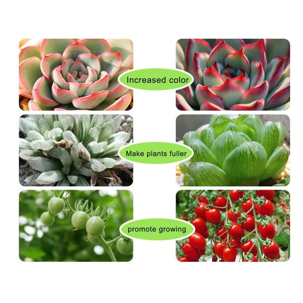 LED Grow Light Waterproof Indoor Veg Plant Growing Lamp Plant Grow LED Light for Plants Flowers Greenhouse Hydroponic 1M 2M 2M 5M