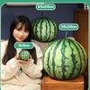 Kawaii Wassermelonen Plüschtier Kissen - rund Oval Lebensecht Obst Spielzeug für Heimdekoration Lustiges Umarmungs Geschenk für Jungen & Mädchen