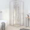 Paroi de douche Verre ESG dépoli 90 x 70 x 180 cm