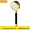 Black and Gold Shower Head Set