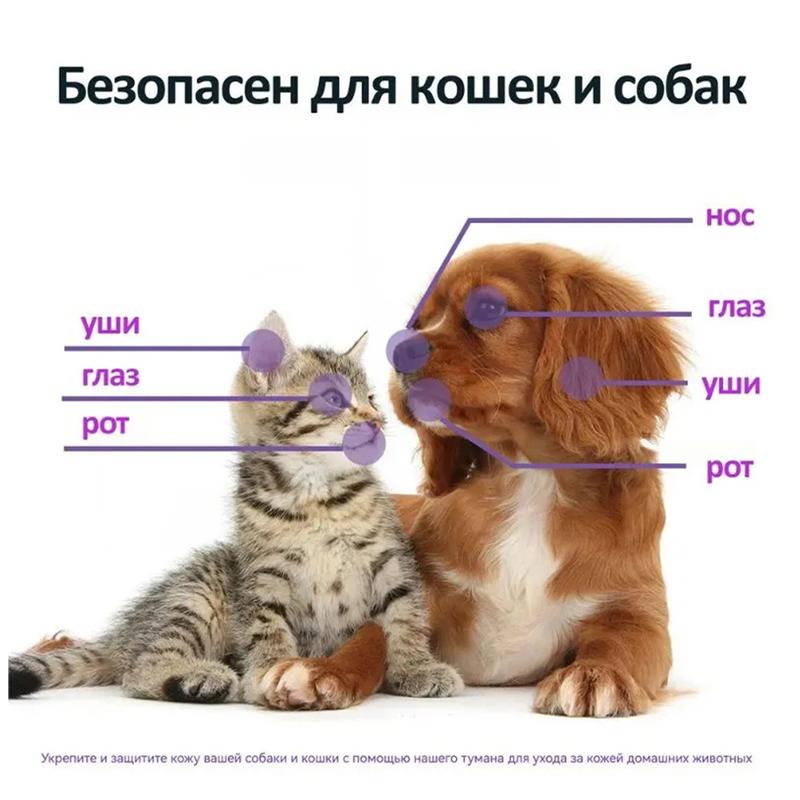 Cat Skin Care Spray 100ml Natural Formula for Itchy Skin Relief Treats Fungal Bacterial Infections