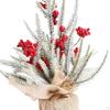 Tabletop Christmas Tree Artificial Xmas Ornament Crafts for Bedroom