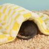 Warm Guinea Pig Tunnel Pad Windproof Foldable Hamster Cotton Mat Soft Hamster Rest Shelter Pet Habitat