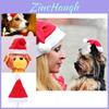 Adorável Chapéu de Natal de Pelúcia para Pets Cães Pelúcia Curta Macia Roupa de Feriado