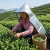 Heat Insulation Sunscreen Cape Aluminum Foil Elastic Sun Cloak  Outdoor Farm Work