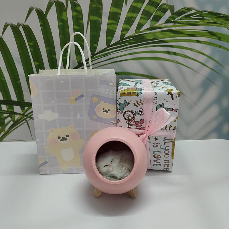 Kreatives Katze Atmosphäre Nachtlicht - USB Wiederaufladbar, Kinder Touch Nachttischlampe