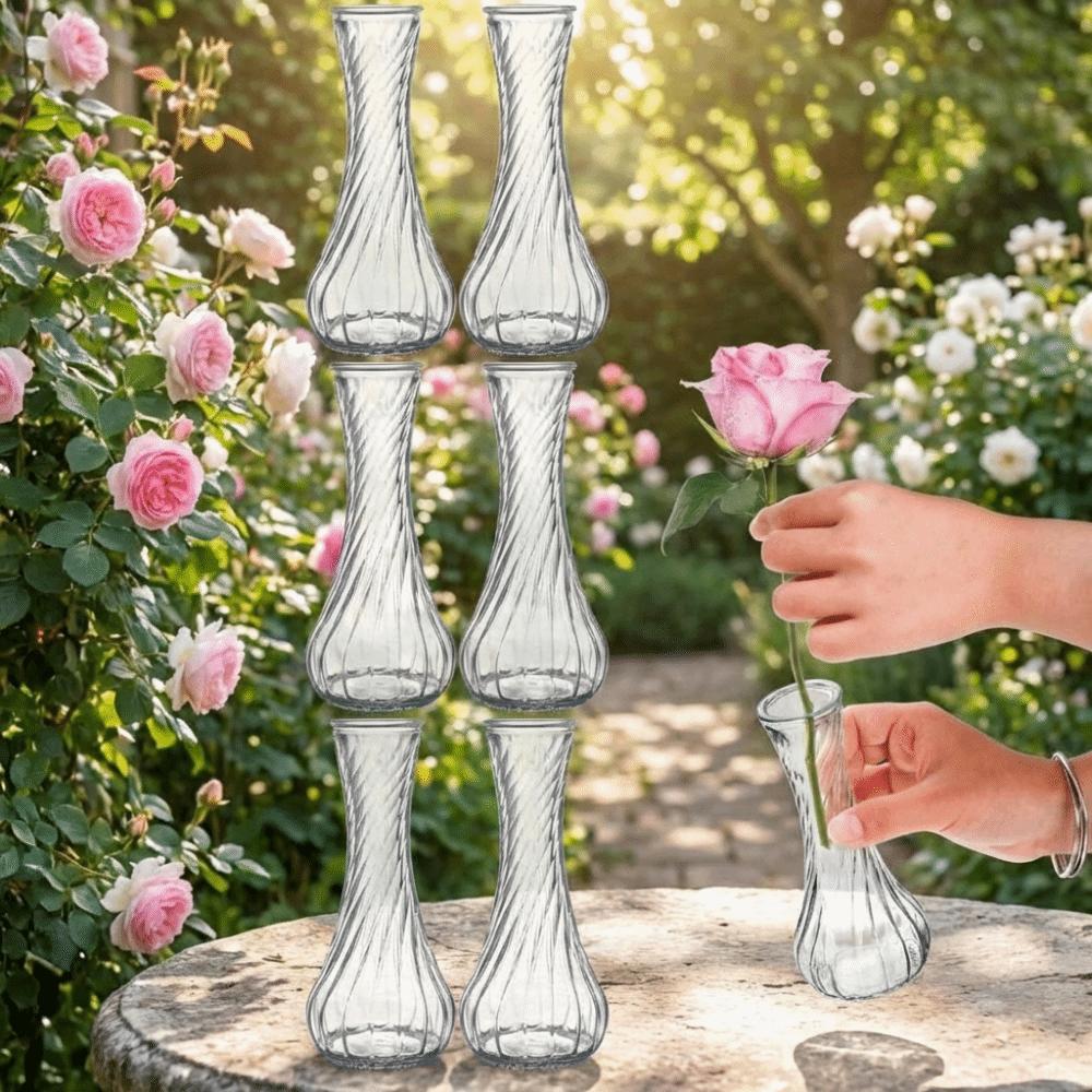 6PCS Vintage Clear Flower Vases Transparent Flower Holder Water Culture Vase  Desktop Adornment