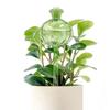 Top Fill Plant Watering Bulbs Automatic Auto Watering System Indoor Gardening Reusable Easy Refill For Busy Gardeners