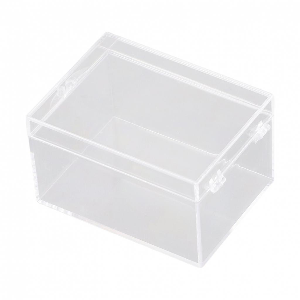 Desktop Storage Box for Insect Specimen Display Clear Plastic (65 characters)