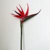 Fiore di Seta Uccello del Paradiso - Arredamento Premium per la Casa, Esposizione per Showroom, Oggetto di Scena per Fotografia