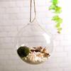 Hanging Glass Propagation Station Clear Terrarium Planter for Flowers Air Hydroponic Plants Small Indoor Flower Vase for Home Room Window Office Decor
