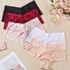 Lace Boyshorts for Plus Size Women - Popular e-Commerce Style