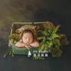 Pentru studiouri foto – Accesorii pentru ședințe foto