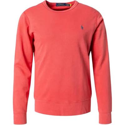 Polo Embroidered Logo Crew Neck Pullover Long Sleeve Sweatshirt Men Sweatshirt 710899996-013