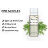 PHATOIL Pine Needles Pure Essential Oil Air Fresh Diffuser Humidifier Aromatherapy Boost Immunity 5ml/10ml/15ml/30ml/100ml Spa Massage Oil
