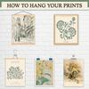 LANCHI95 15 PCS Sage Green Wall Art Decor, Matisse Wall Prints, Abstract Posters for Room Aesthetic, Wall Art For Living Room Bedroom, Eclectic Boho