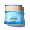Iceland Aqua Moist Cream_Moisturizing Cream for Dry Skin_US